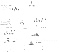 Thumbnail for version as of 19:46, 5 February 2012