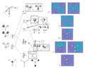 Thumbnail for version as of 14:01, 7 December 2010
