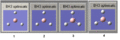 Thumbnail for version as of 17:56, 22 October 2009