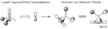 Thumbnail for version as of 14:33, 22 May 2019