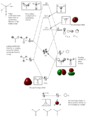 Thumbnail for version as of 13:21, 11 December 2014