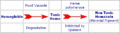 Thumbnail for version as of 15:16, 8 December 2006