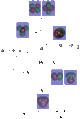 Thumbnail for version as of 13:24, 2 November 2009