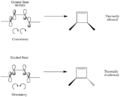 Thumbnail for version as of 20:56, 18 December 2017