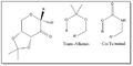 Thumbnail for version as of 14:51, 18 November 2013