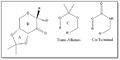Thumbnail for version as of 14:52, 18 November 2013