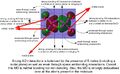 Thumbnail for version as of 16:02, 29 January 2014