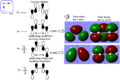 Thumbnail for version as of 15:33, 2 December 2014