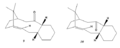 Thumbnail for version as of 15:00, 4 March 2011