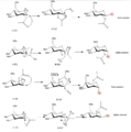 Thumbnail for version as of 06:12, 7 December 2012