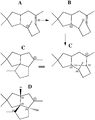 Thumbnail for version as of 06:12, 22 May 2011