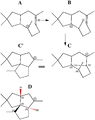 Thumbnail for version as of 06:33, 22 May 2011