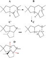 Thumbnail for version as of 07:01, 22 May 2011