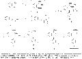 Thumbnail for version as of 16:20, 20 November 2006