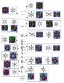 Thumbnail for version as of 18:47, 12 December 2014