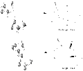 Thumbnail for version as of 22:51, 16 October 2011