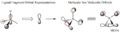 Thumbnail for version as of 14:32, 22 May 2019