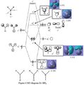 Thumbnail for version as of 13:25, 4 November 2008
