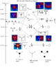 Thumbnail for version as of 15:21, 4 February 2011