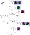 Thumbnail for version as of 13:49, 14 November 2014
