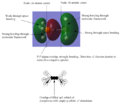 Thumbnail for version as of 12:35, 17 October 2013