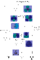 Thumbnail for version as of 14:49, 26 October 2010
