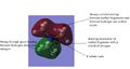 Thumbnail for version as of 17:15, 20 November 2014
