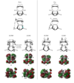 Thumbnail for version as of 10:00, 1 November 2013