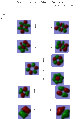 Thumbnail for version as of 13:31, 20 November 2012