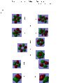 Thumbnail for version as of 13:37, 20 November 2012