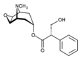 Thumbnail for version as of 11:33, 23 October 2006