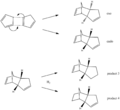 Thumbnail for version as of 13:47, 20 January 2011
