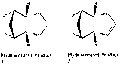 Thumbnail for version as of 20:44, 21 January 2011