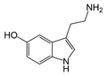 Thumbnail for version as of 18:08, 7 December 2006