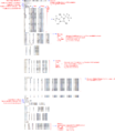 Thumbnail for version as of 14:12, 6 August 2014
