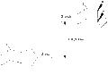 Thumbnail for version as of 15:49, 22 February 2010