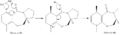 Thumbnail for version as of 22:36, 23 February 2011