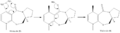 Thumbnail for version as of 22:40, 23 February 2011