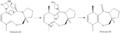 Thumbnail for version as of 22:46, 23 February 2011