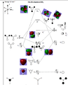 Thumbnail for version as of 19:11, 26 October 2011