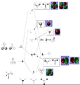Thumbnail for version as of 15:53, 10 October 2013
