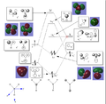 Thumbnail for version as of 18:03, 13 November 2014