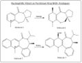 Thumbnail for version as of 17:12, 24 February 2010