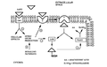 Thumbnail for version as of 14:40, 26 October 2006