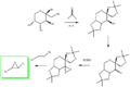 Thumbnail for version as of 13:19, 2 July 2013