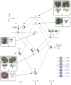 Thumbnail for version as of 13:35, 24 January 2014
