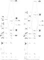 Thumbnail for version as of 20:10, 29 November 2010