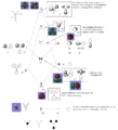 Thumbnail for version as of 15:18, 10 February 2015