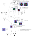 Thumbnail for version as of 15:27, 10 February 2015