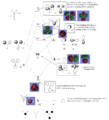 Thumbnail for version as of 22:21, 10 February 2015